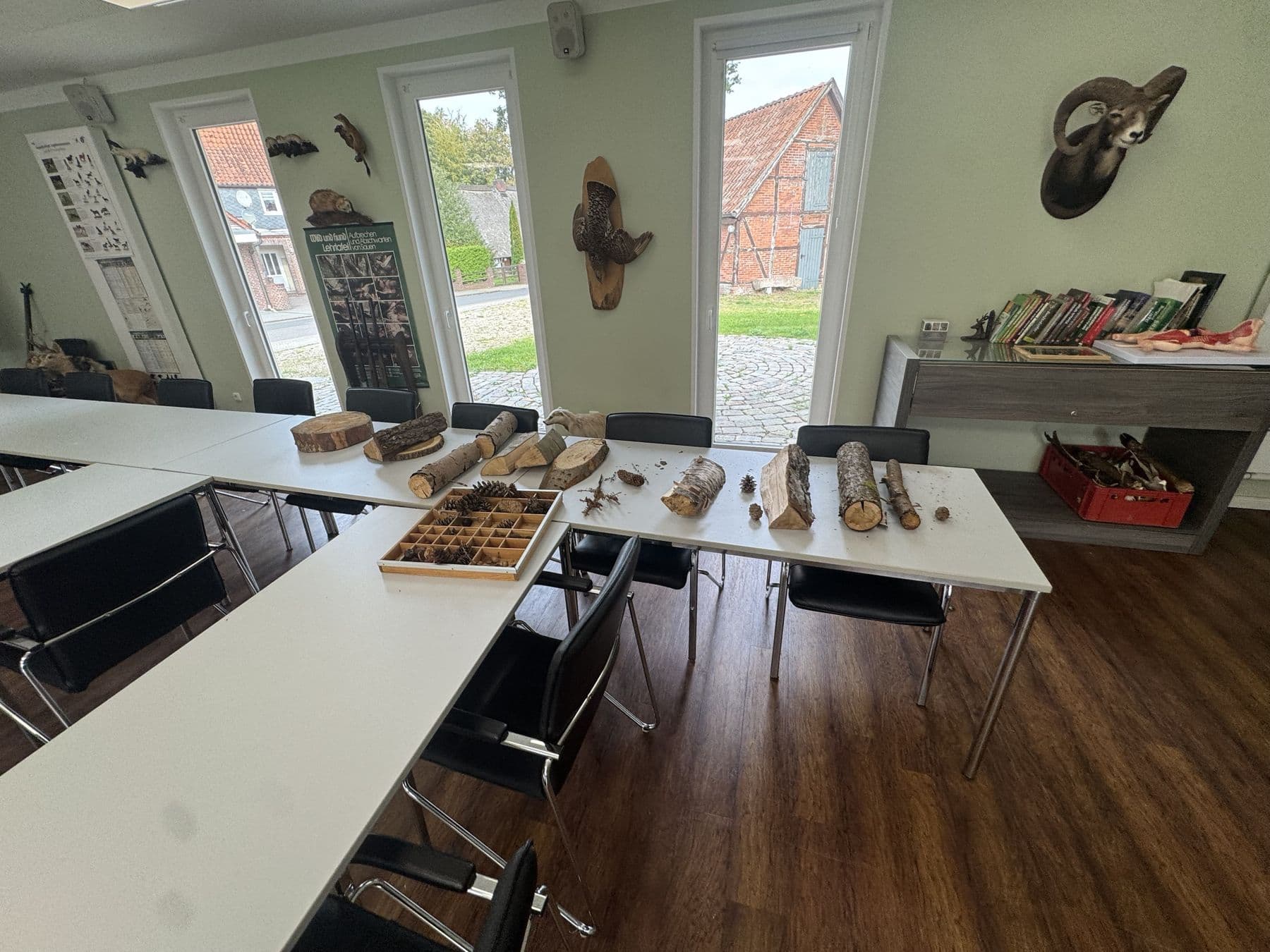 Holzproben und Zapfensammlung auf den Seminartischen